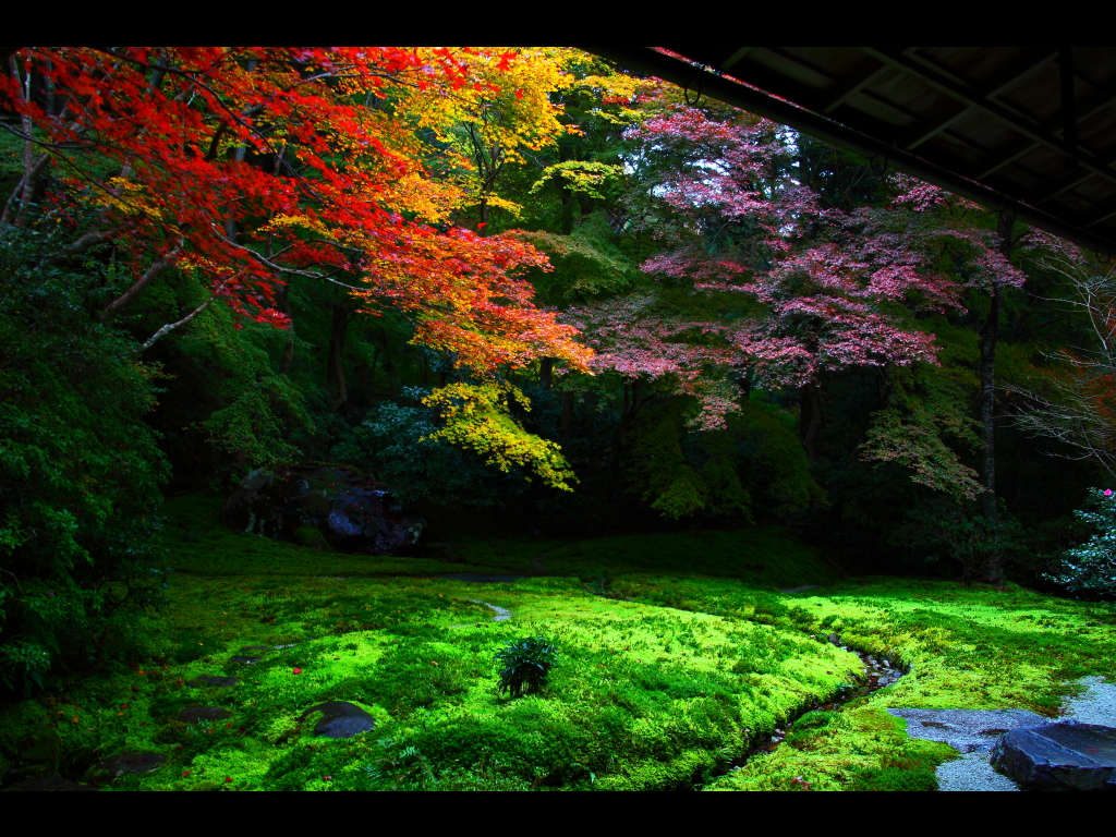 紅葉ありったけ 京都観光で行きたい紅葉スポット