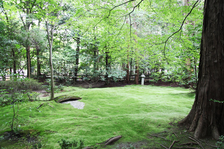 苔の緑が鮮やかな庭園