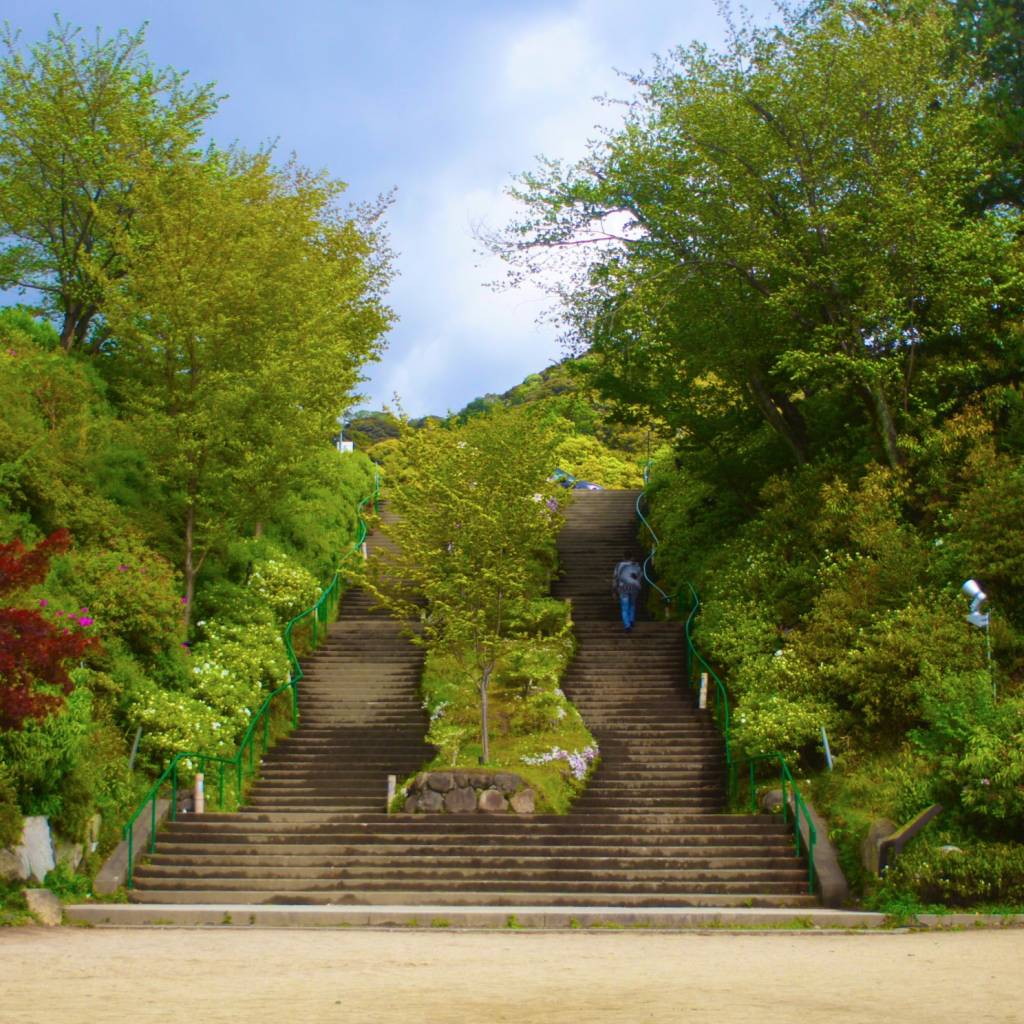 高台寺公園の階段