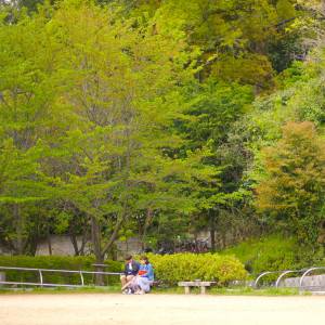 高台寺公園のベンチ